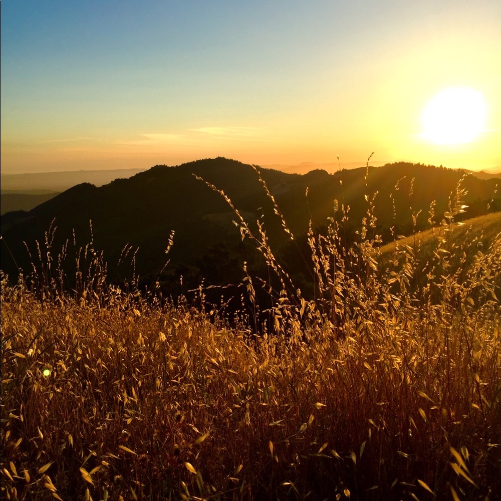 Meet your Posher, Rebekah